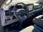 2025 F-150 Thumbnail 13