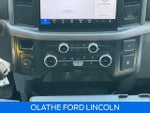 2025 F-150 Thumbnail 22