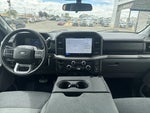 2025 F-150 Thumbnail 15