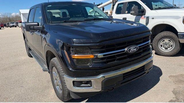 Preowned 2025 Ford F-150 XLT for Sale