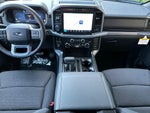 2026 F-150 Thumbnail 14