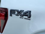 2026 F-150 Thumbnail 10