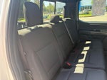 2024 F-150 Thumbnail 22