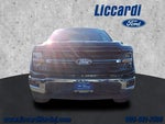 2024 F-150 Thumbnail 19