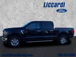 2024 F-150 Thumbnail 21