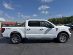 2024 F-150 Thumbnail 2