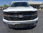 2024 F-150 Thumbnail 8