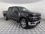 2025 F-150 Thumbnail 1
