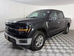 2025 F-150 Thumbnail 3
