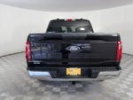 2025 F-150 Thumbnail 6
