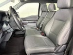 2025 F-150 Thumbnail 11