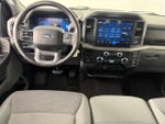 2025 F-150 Thumbnail 14