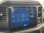 2025 F-150 Thumbnail 19