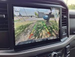 2025 F-150 Thumbnail 7