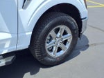 2025 F-150 Thumbnail 24