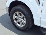 2025 F-150 Thumbnail 26