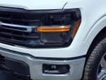 2025 F-150 Thumbnail 28