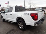 2025 F-150 Thumbnail 5