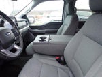 2025 F-150 Thumbnail 17
