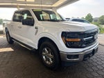 2025 F-150 Thumbnail 4