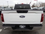 2025 F-150 Thumbnail 7