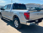 2025 F-150 Thumbnail 3