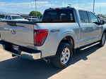 2025 F-150 Thumbnail 5