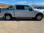 2025 F-150 Thumbnail 6