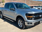 2025 F-150 Thumbnail 7