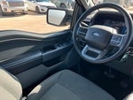 2025 F-150 Thumbnail 11