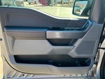 2025 F-150 Thumbnail 15