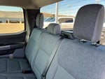 2025 F-150 Thumbnail 21