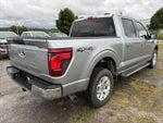 2025 F-150 Thumbnail 6