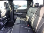 2026 F-150 Thumbnail 12