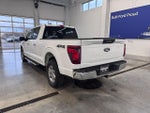 2024 F-150 Thumbnail 4