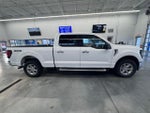 2024 F-150 Thumbnail 6
