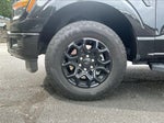 2024 F-150 Thumbnail 4