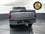 2024 F-150 Thumbnail 5