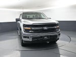 2024 F-150 Thumbnail 11
