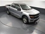 2024 F-150 Thumbnail 19