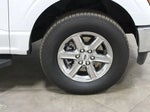 2024 F-150 Thumbnail 49