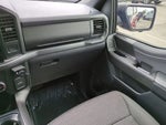 2024 F-150 Thumbnail 8