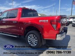 2024 F-150 Thumbnail 6