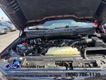 2024 F-150 Thumbnail 13