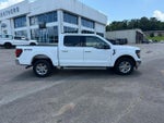 2024 F-150 Thumbnail 3