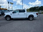 2024 F-150 Thumbnail 7
