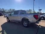 2025 F-150 Thumbnail 4