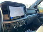 2025 F-150 Thumbnail 15
