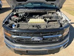 2025 F-150 Thumbnail 18