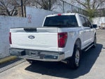 2025 F-150 Thumbnail 2